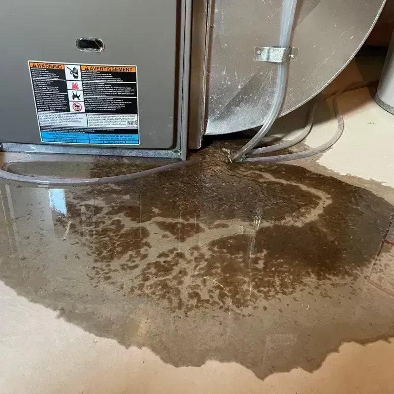 Appliance Leak Cleanup in Placentia, CA